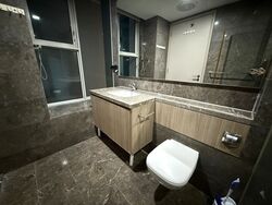 Optima @ Tanah Merah (D16), Condominium #608692471
